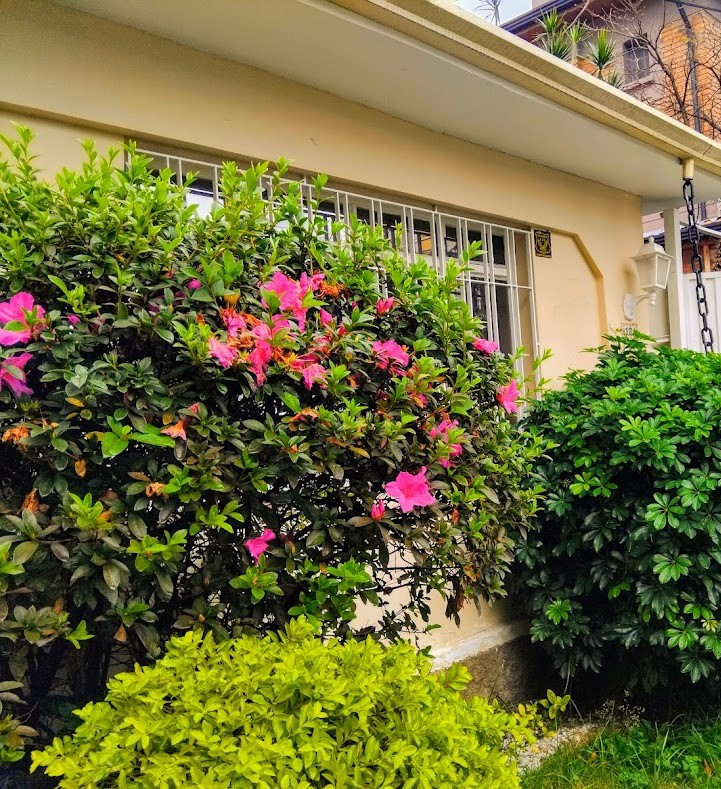 whatsapp image 2025 09 10 at 18.04.03